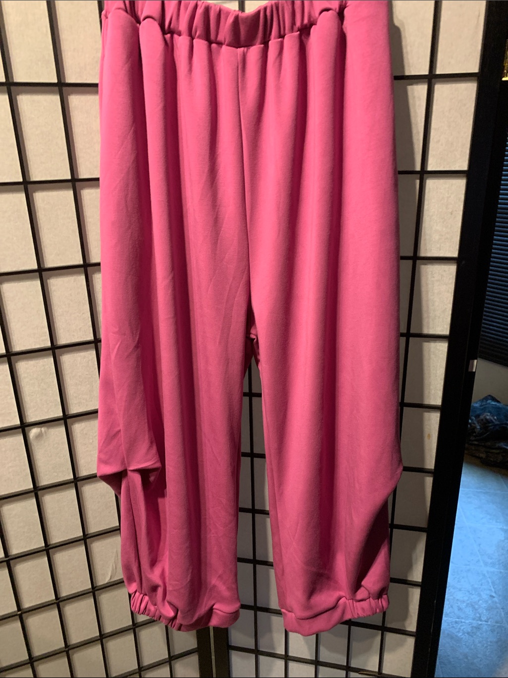 Davi & Dani Wide Leg Pants In Bright Pink Size L